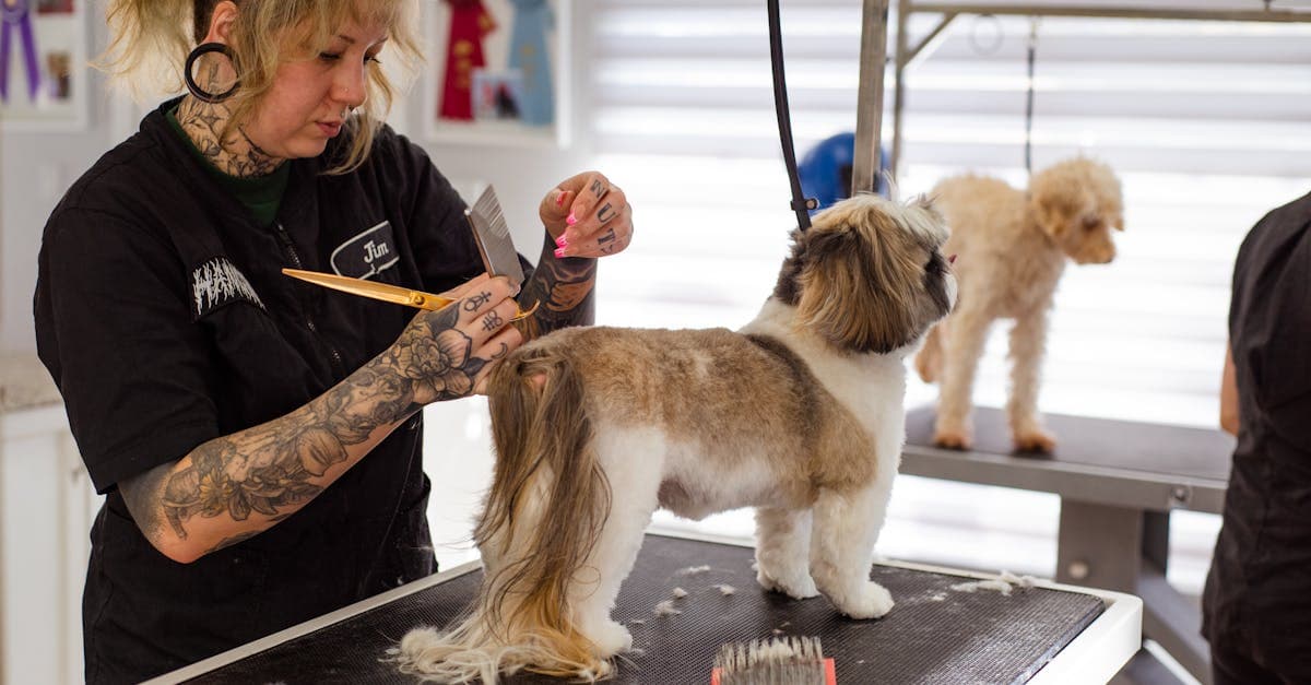 Pet Grooming business automation