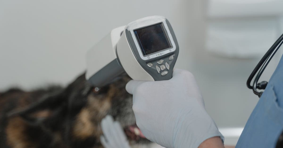 Veterinary business automation